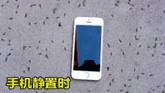 微信图片_20211012092740.gif